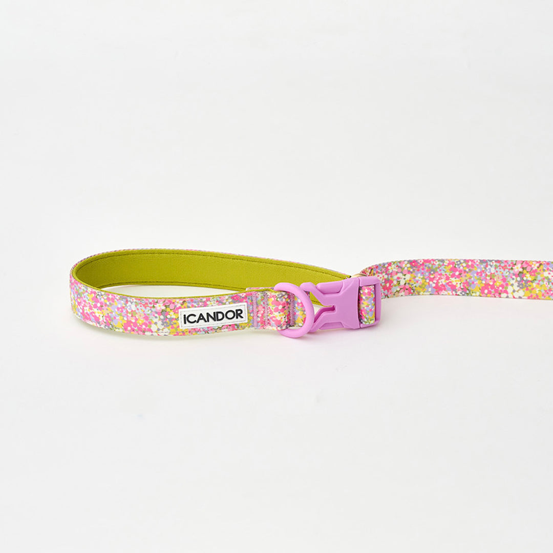 ※予約販売【iCANDOR】Gentle Leash Bolt（FLORA）