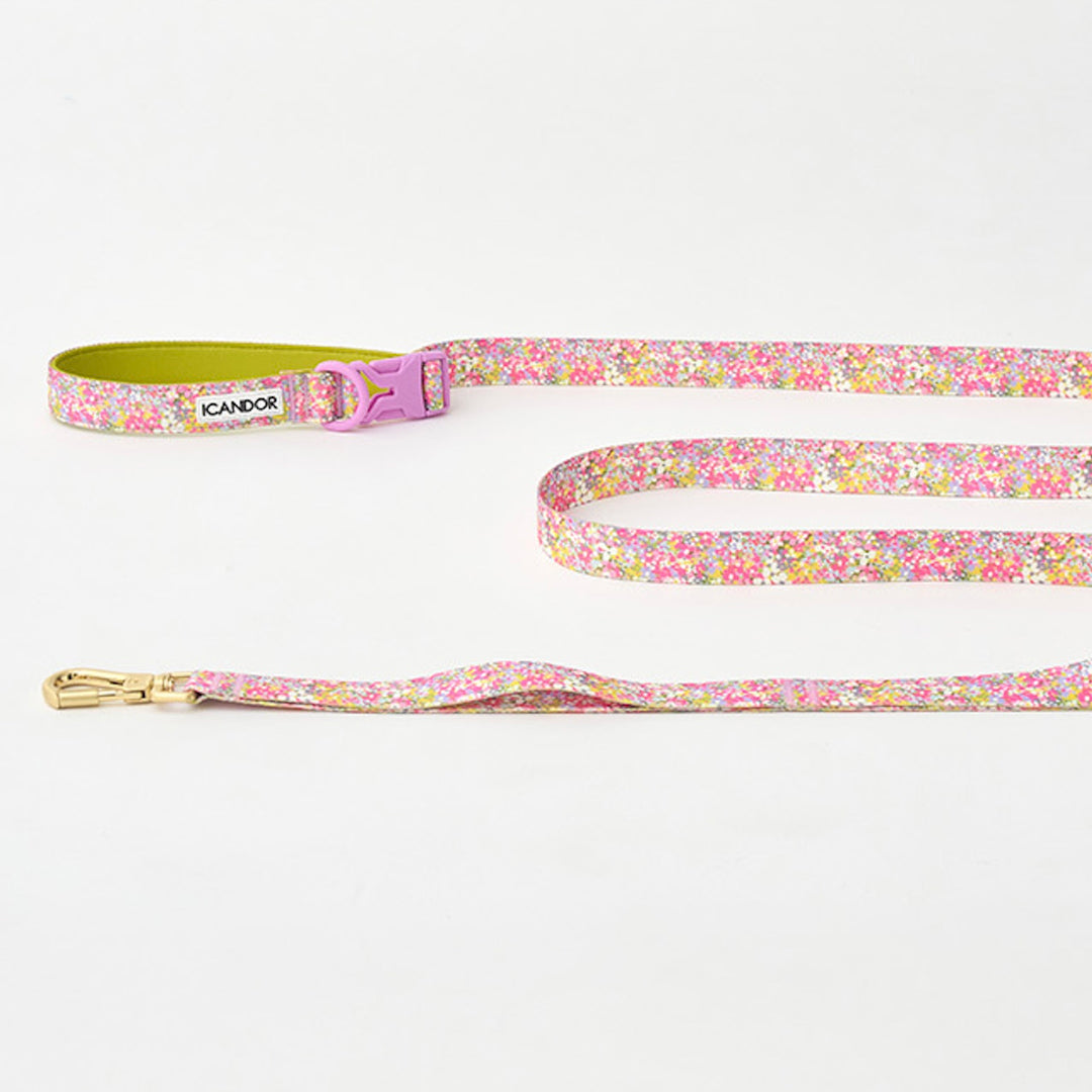 ※予約販売【iCANDOR】Gentle Leash Bolt（FLORA）