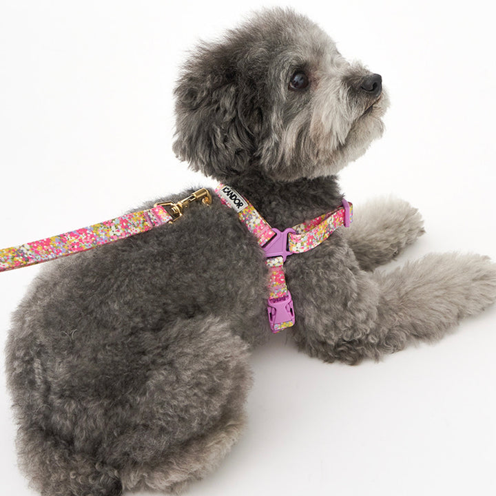 ※予約販売【iCANDOR】Gentle Leash Bolt（FLORA）1.6m-15mm