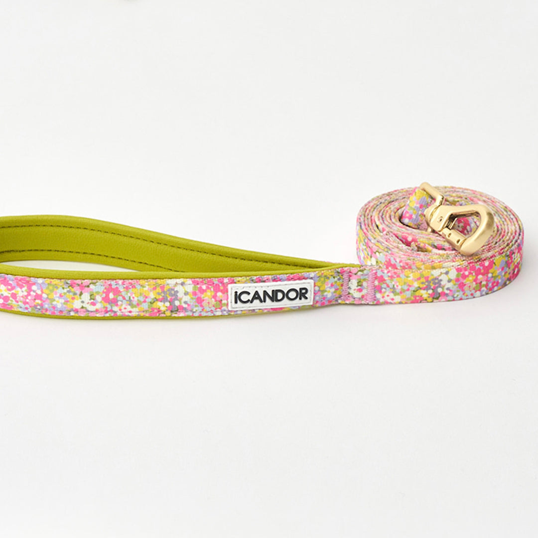 ※予約販売【iCANDOR】Gentle Leash Bolt（FLORA）1.6m-15mm
