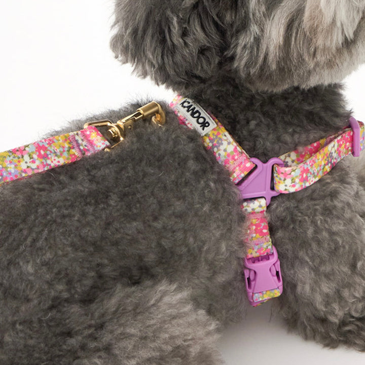 ※予約販売【iCANDOR】Gentle Leash Bolt（FLORA）1.6m-15mm