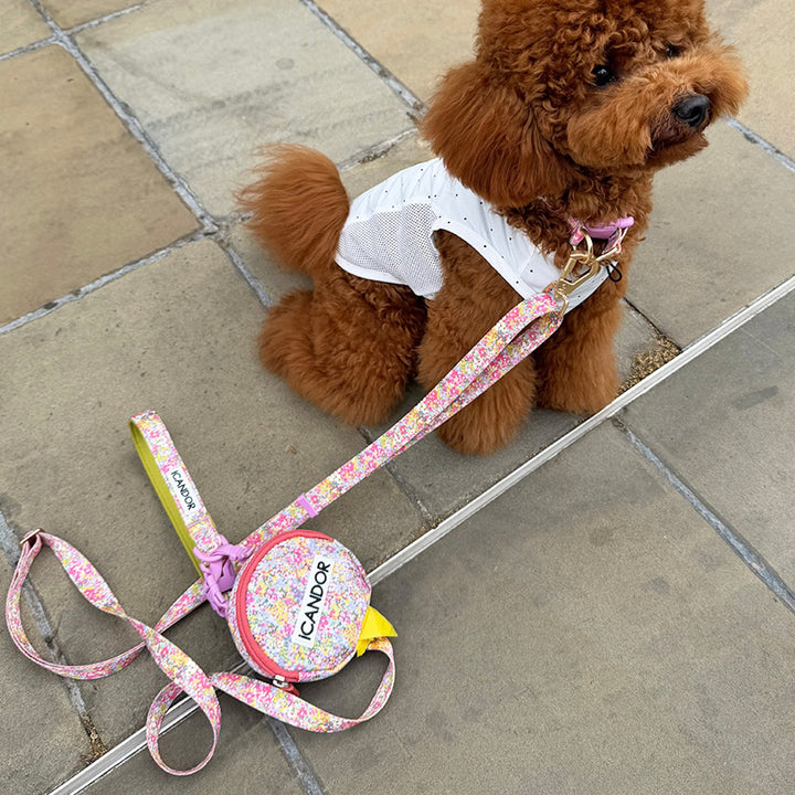 ※予約販売【iCANDOR】Gentle Leash Bolt Long（FLORA）