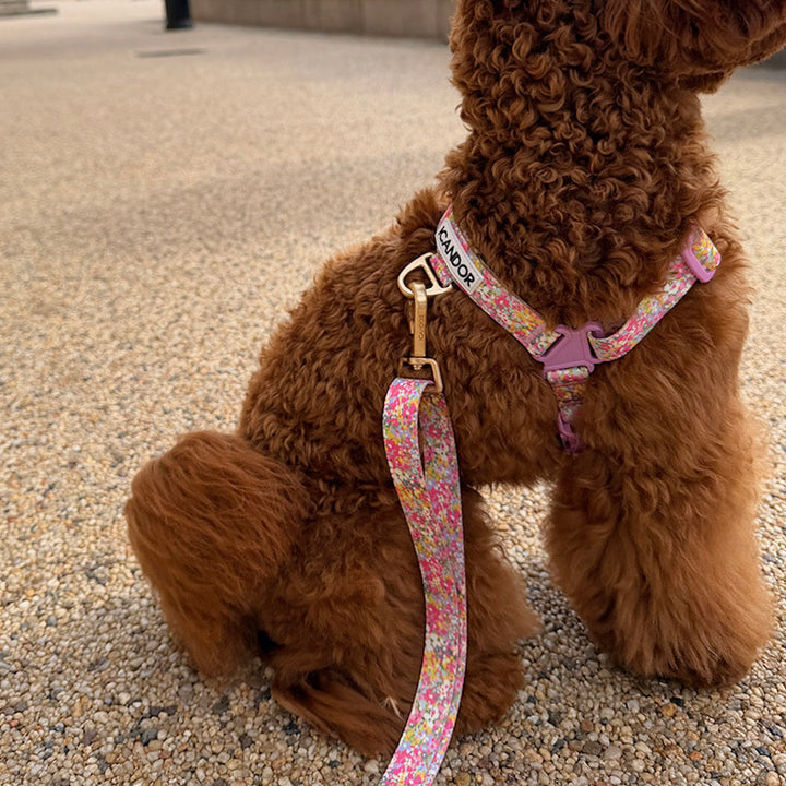 ※予約販売【iCANDOR】Gentle Leash Bolt Long（FLORA）