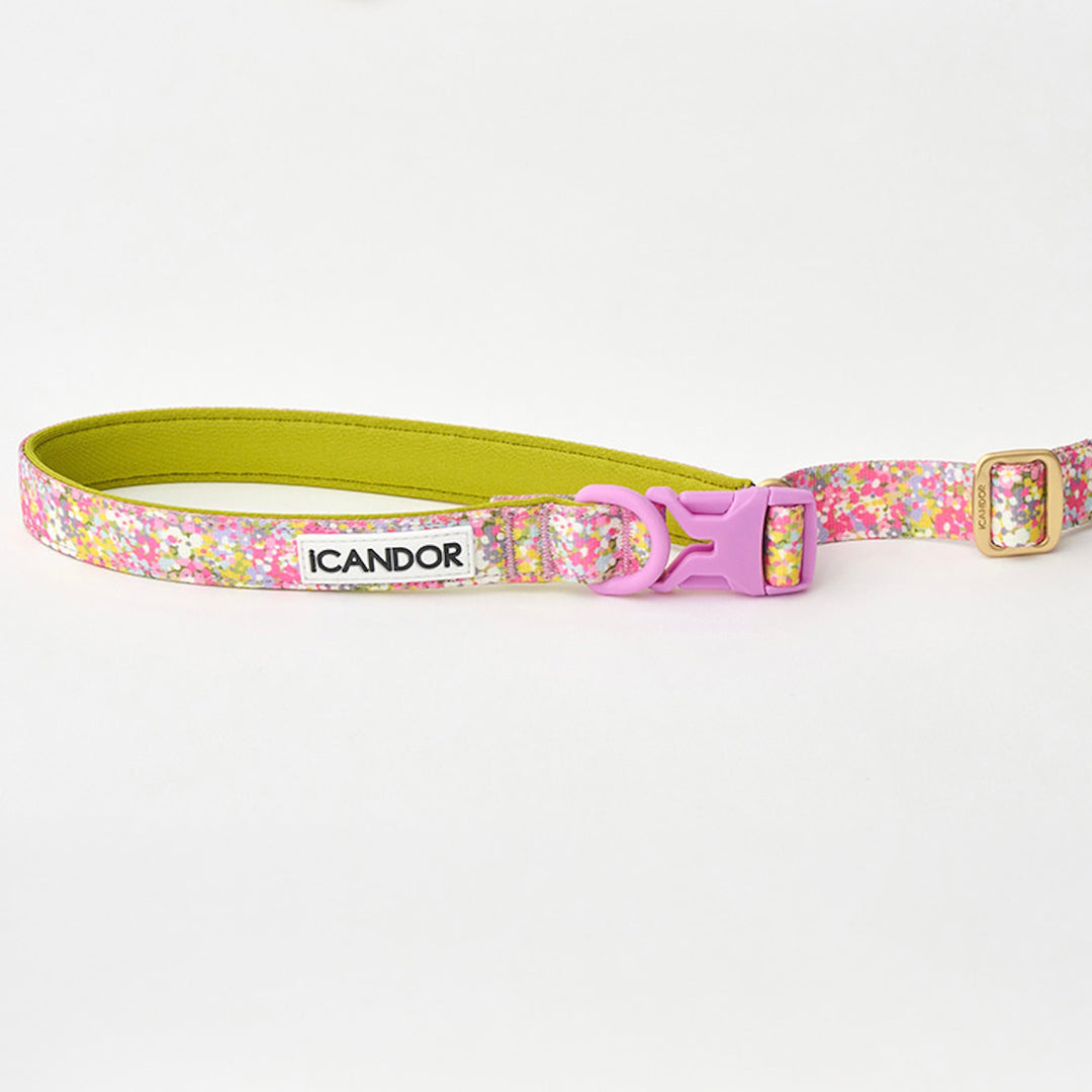 ※予約販売【iCANDOR】Gentle Leash Bolt Long（FLORA）