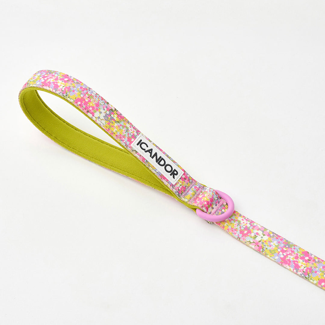 ※予約販売【iCANDOR】Gentle Leash（FLORA）