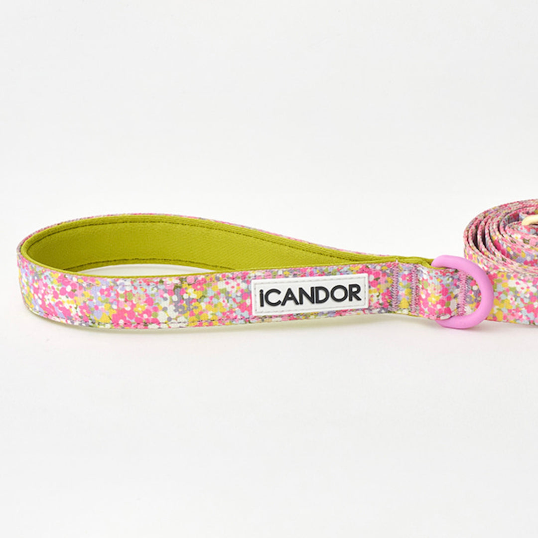 ※予約販売【iCANDOR】Gentle Leash（FLORA）