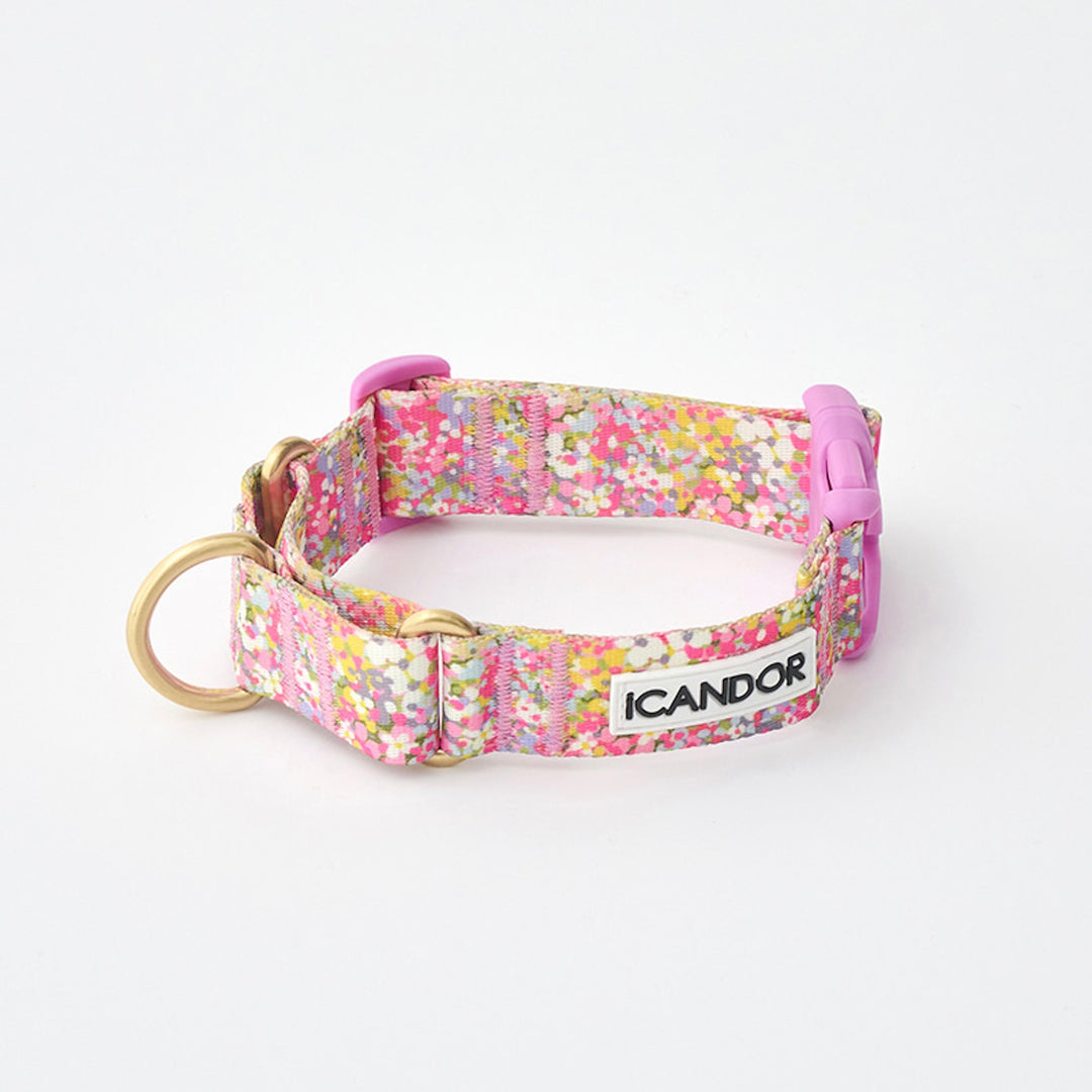 ※予約販売【iCANDOR】MARTINGALE COLLAR BUCKLE（FLORA）