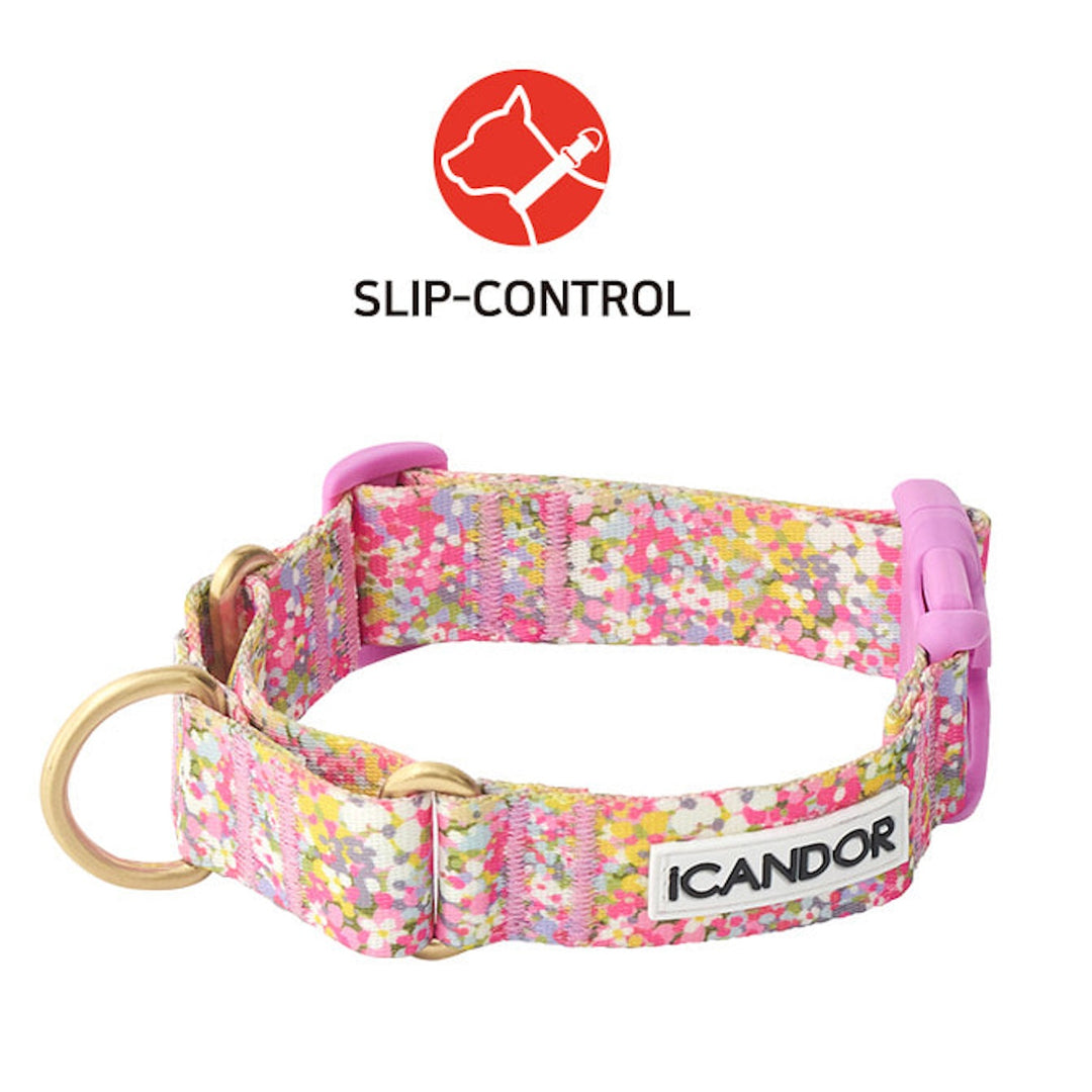 ※予約販売【iCANDOR】MARTINGALE COLLAR BUCKLE（FLORA）