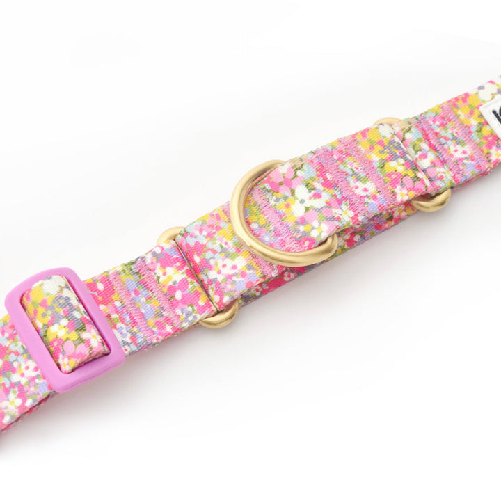 ※予約販売【iCANDOR】MARTINGALE COLLAR BUCKLE（FLORA）