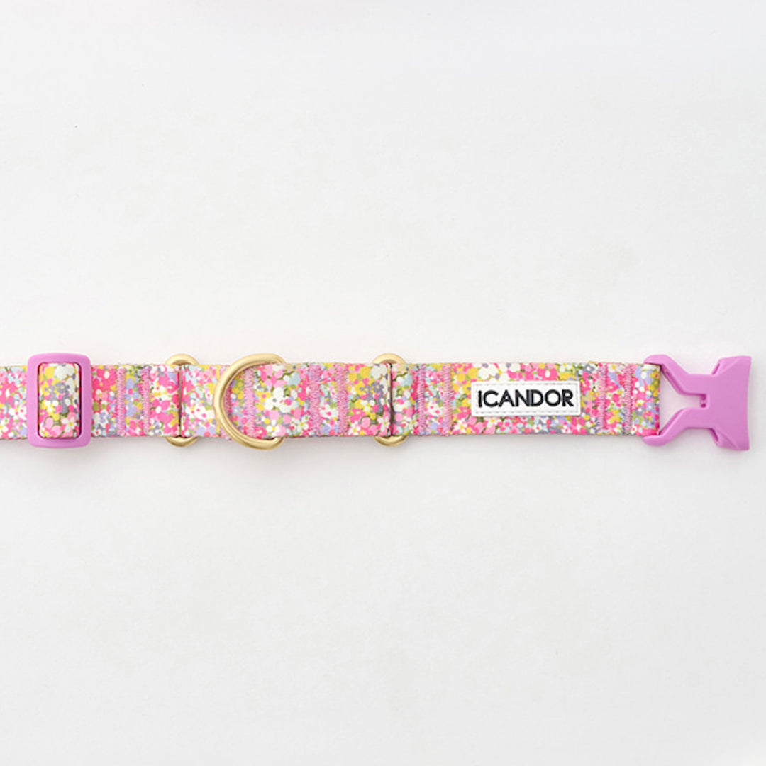 ※予約販売【iCANDOR】MARTINGALE COLLAR BUCKLE（FLORA）