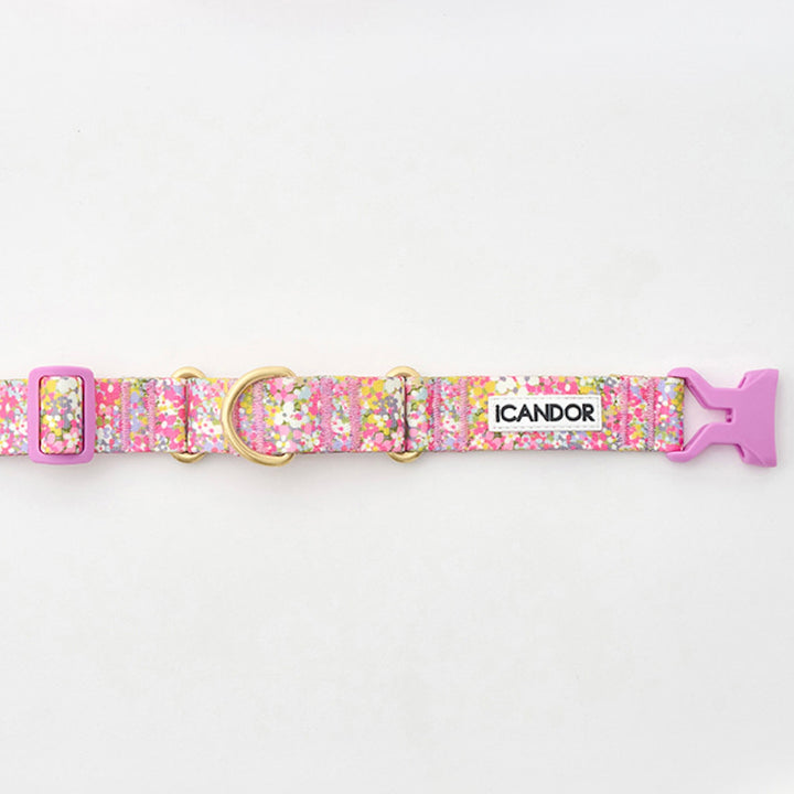 ※予約販売【iCANDOR】MARTINGALE COLLAR BUCKLE（FLORA）