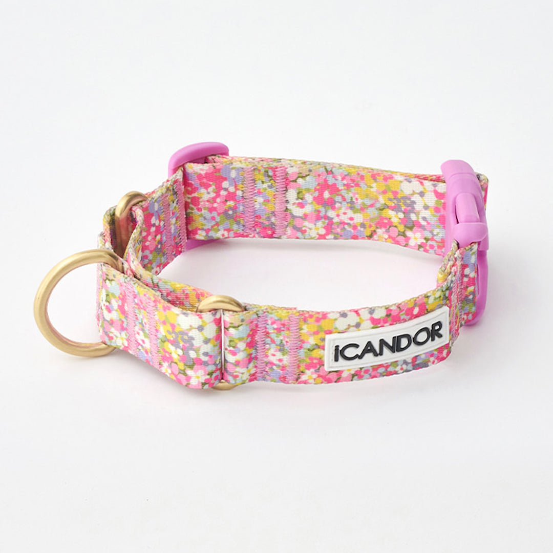 ※予約販売【iCANDOR】MARTINGALE COLLAR BUCKLE（FLORA）