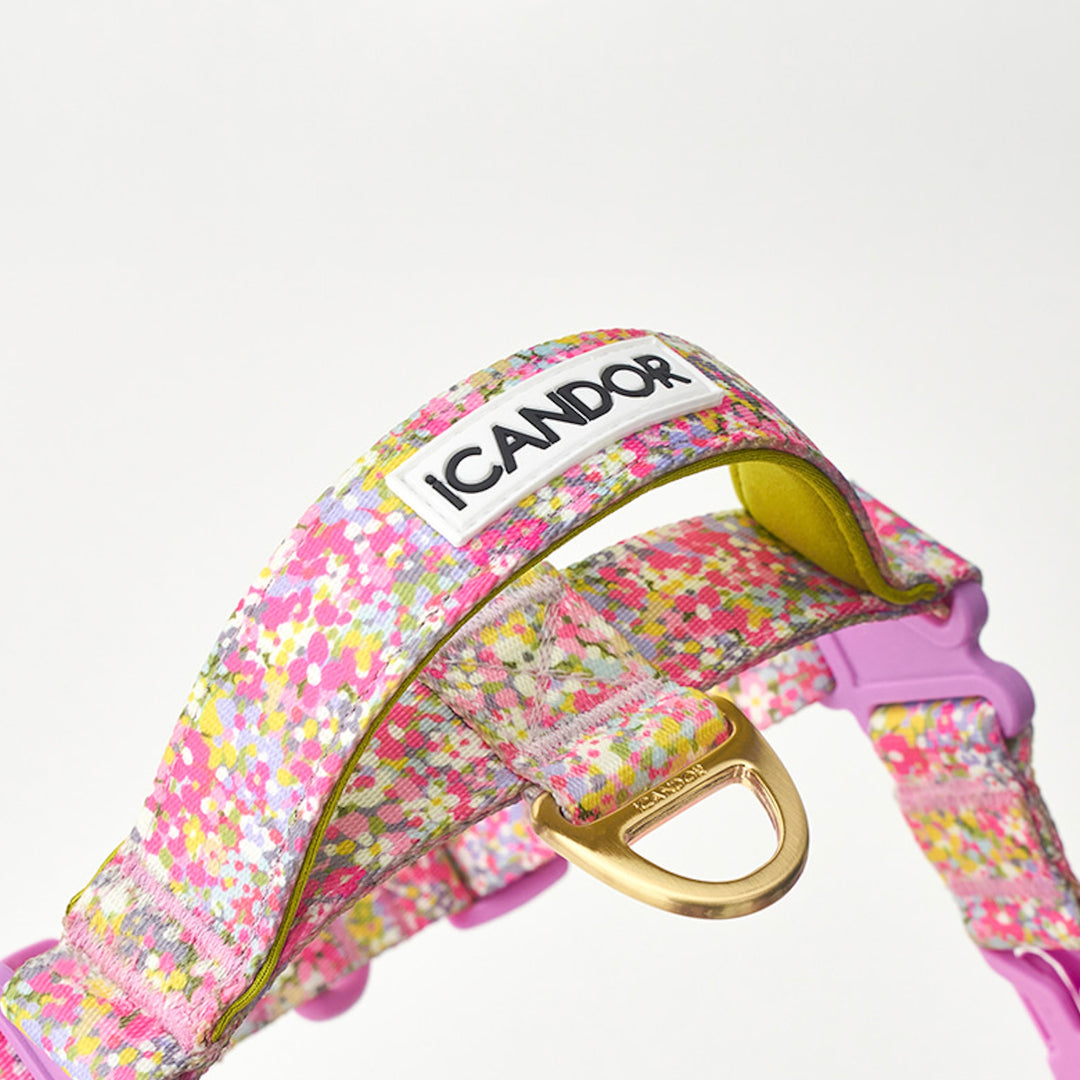 ※予約販売【iCANDOR】No-Pull Harness（FLORA）｜犬用ハーネス