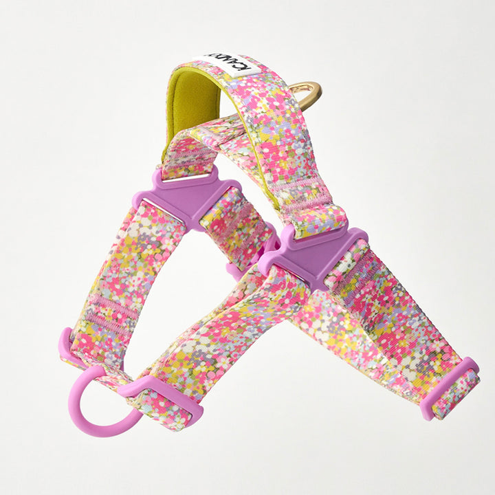 ※予約販売【iCANDOR】No-Pull Harness（FLORA）｜犬用ハーネス