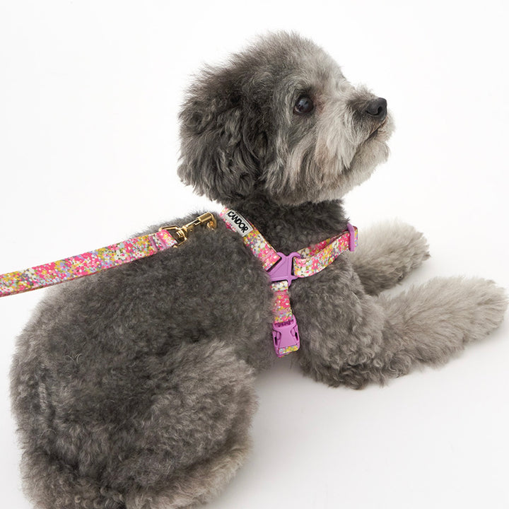 ※予約販売【iCANDOR】No-Pull Harness（FLORA）｜犬用ハーネス