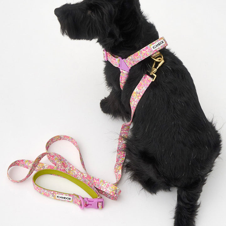 ※予約販売【iCANDOR】No-Pull Harness（FLORA）｜犬用ハーネス