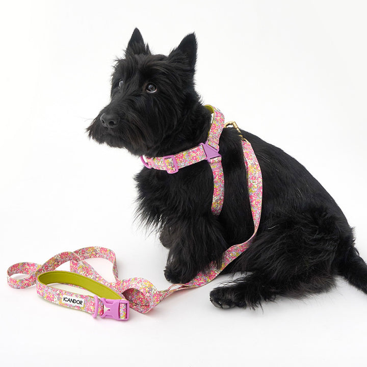 ※予約販売【iCANDOR】No-Pull Harness（FLORA）｜犬用ハーネス