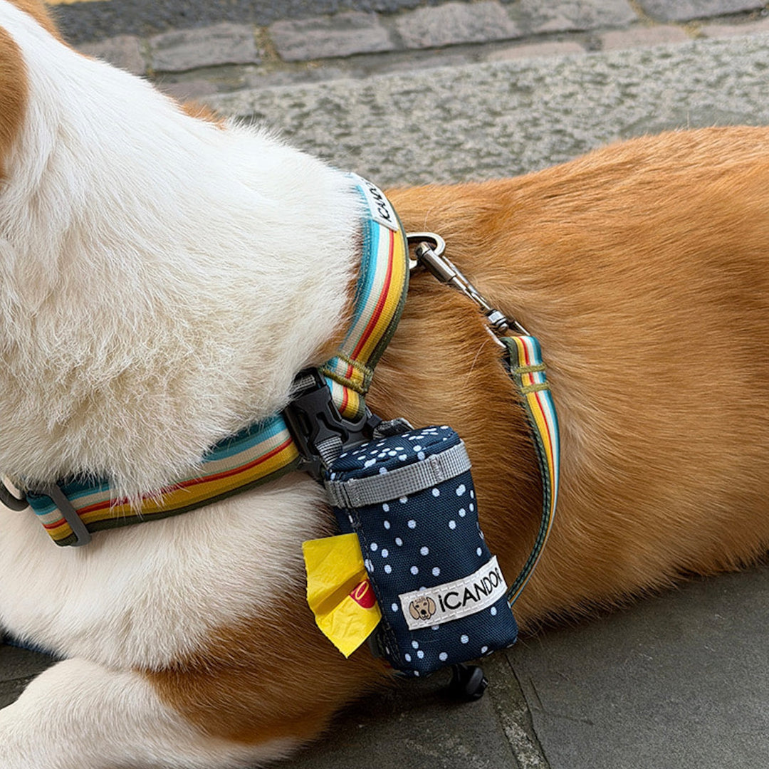 ※予約販売【iCANDOR】POOCH POUCH（RIPPLE）