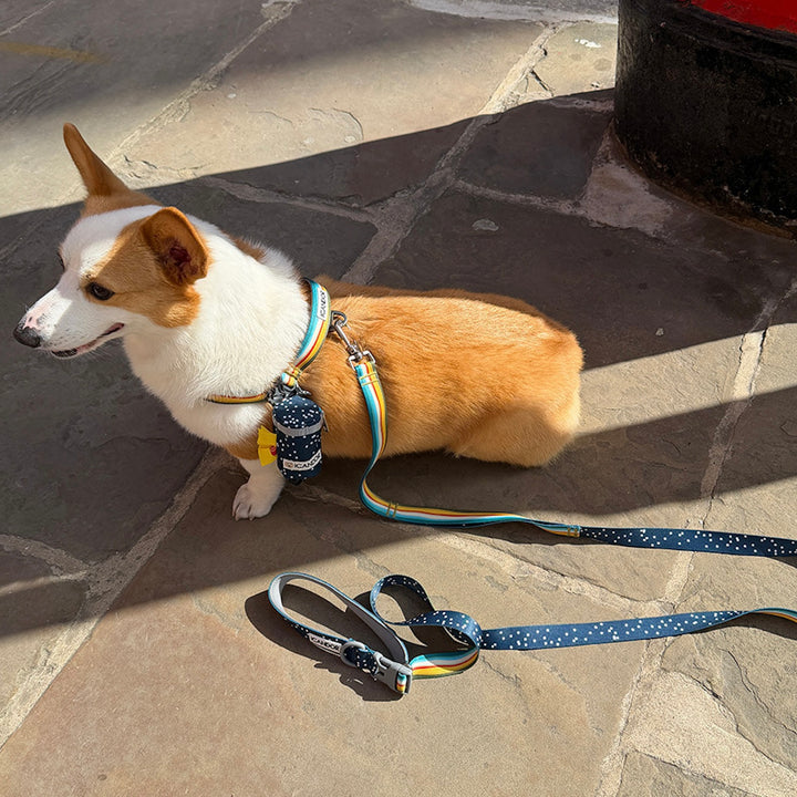 ※予約販売【iCANDOR】POOCH POUCH（RIPPLE）