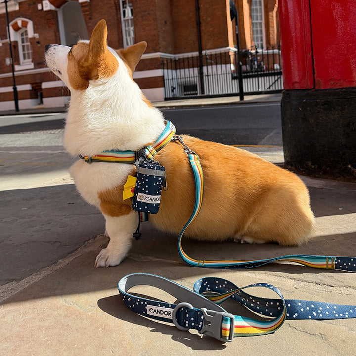 ※予約販売【iCANDOR】POOCH POUCH（RIPPLE）