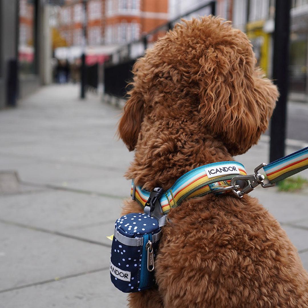 ※予約販売【iCANDOR】POOCH POUCH（RIPPLE）