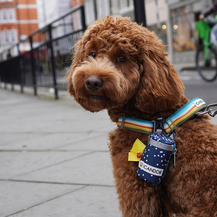 ※予約販売【iCANDOR】POOCH POUCH（RIPPLE）