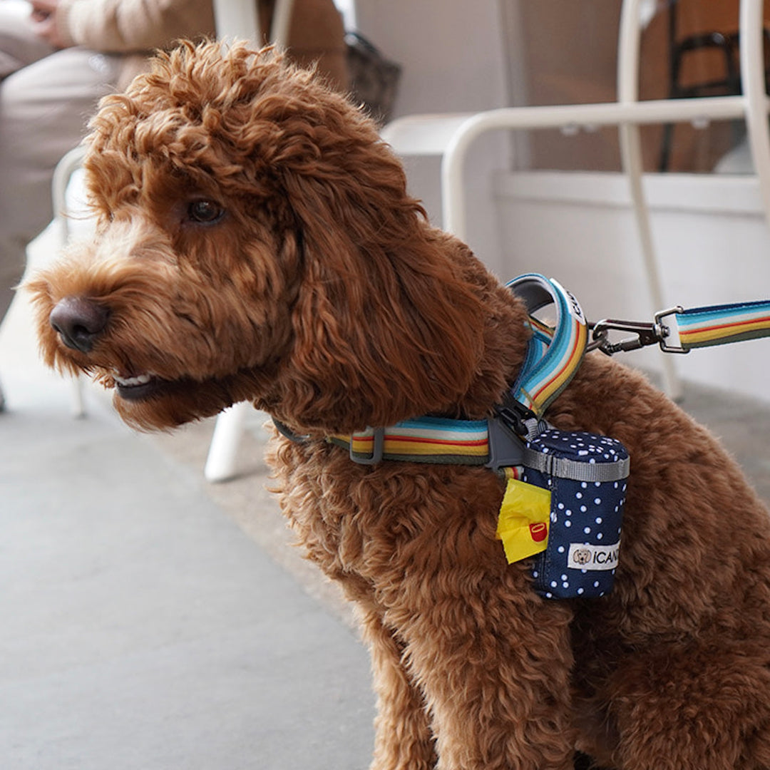 ※予約販売【iCANDOR】POOCH POUCH（RIPPLE）