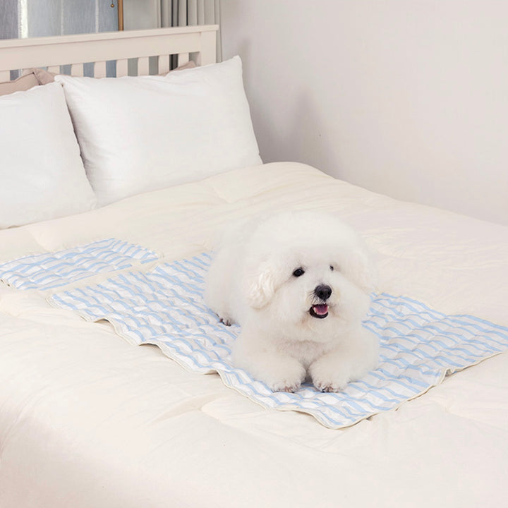 ※予約販売【Chiot】ICE Cool Mat