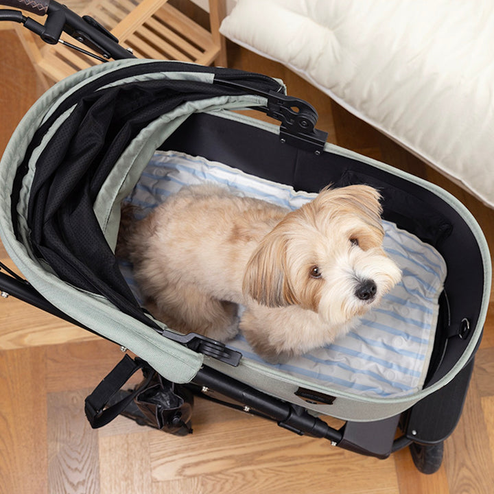 ※予約販売【Chiot】ICE Cool Mat