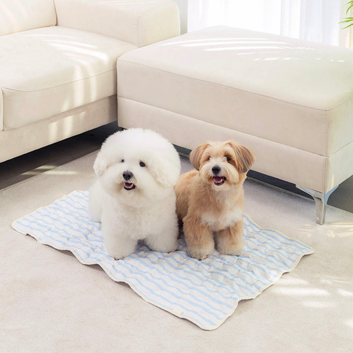 ※予約販売【Chiot】ICE Cool Mat