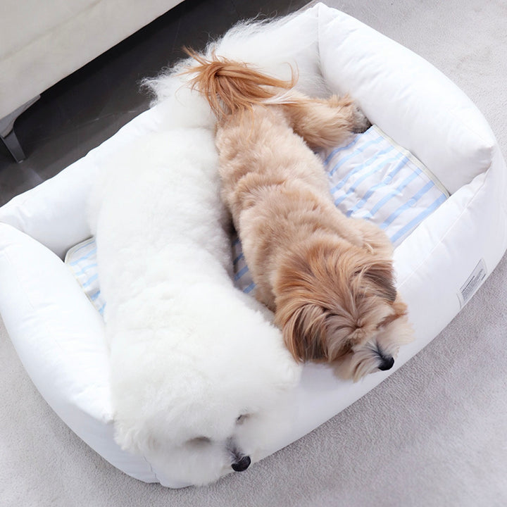 ※予約販売【Chiot】ICE Cool Mat