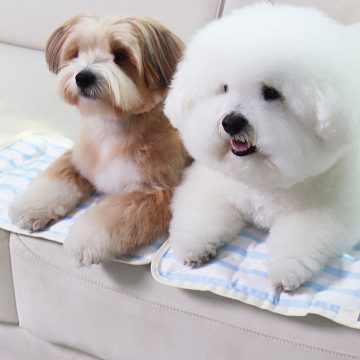 ※予約販売【Chiot】ICE Cool Mat