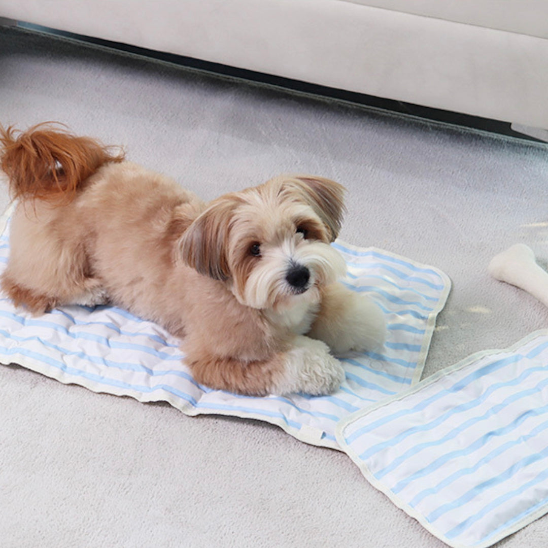 ※予約販売【Chiot】ICE Cool Mat