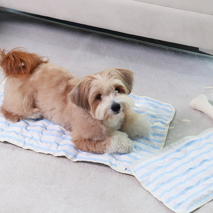 ※予約販売【Chiot】ICE Cool Mat