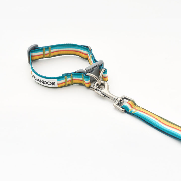 ※予約販売【iCANDOR】Gentle Collar Dual（RIPPLE）L