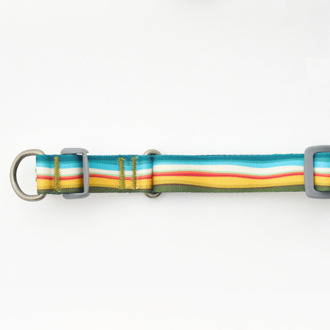 ※予約販売【iCANDOR】Gentle Collar Dual（RIPPLE）L
