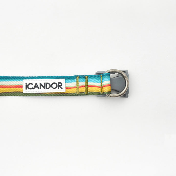※予約販売【iCANDOR】Gentle Collar Dual（RIPPLE）L