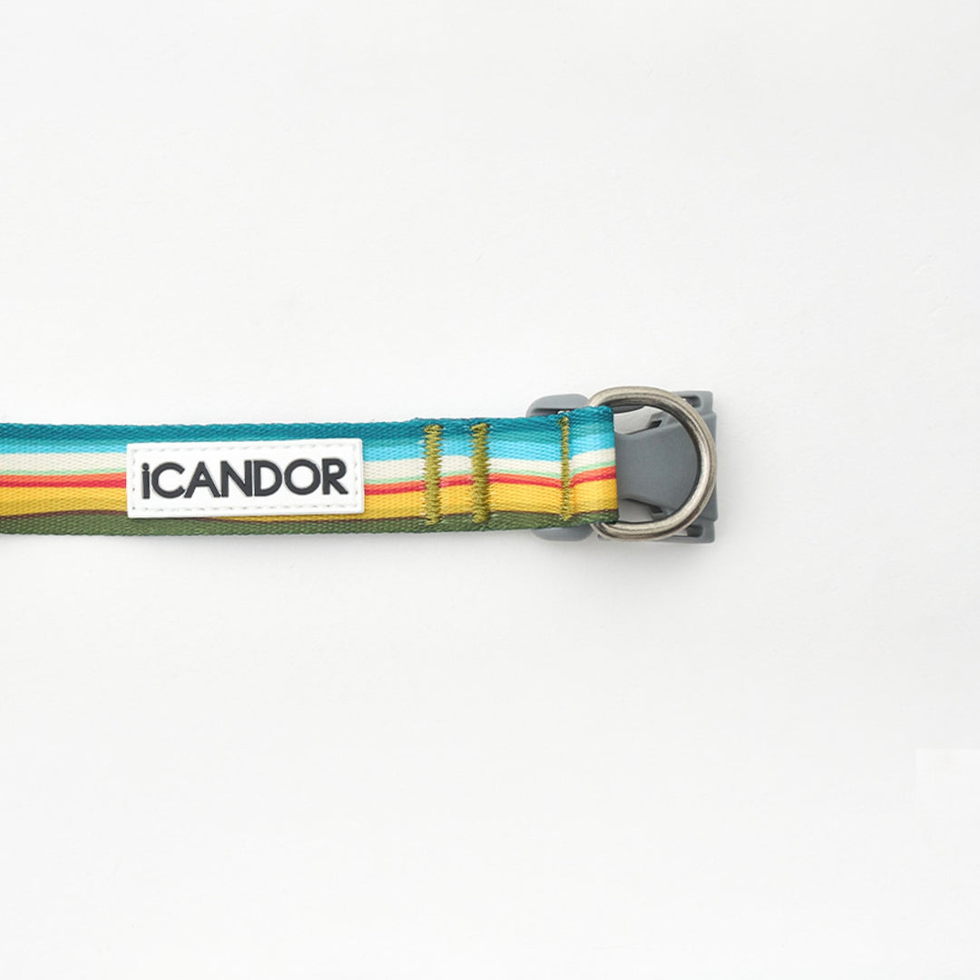 ※予約販売【iCANDOR】Gentle Collar Dual（RIPPLE）S/M