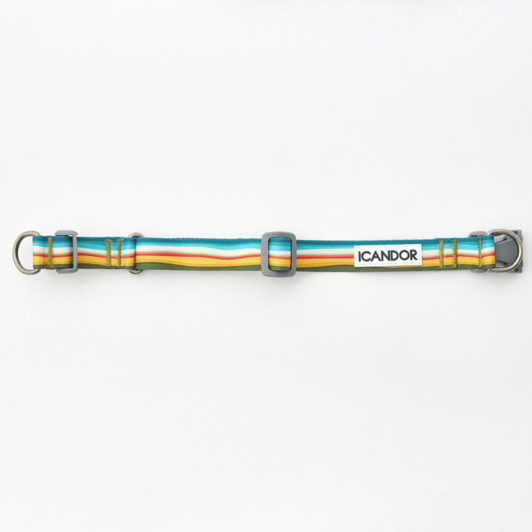 ※予約販売【iCANDOR】Gentle Collar Dual（RIPPLE）L