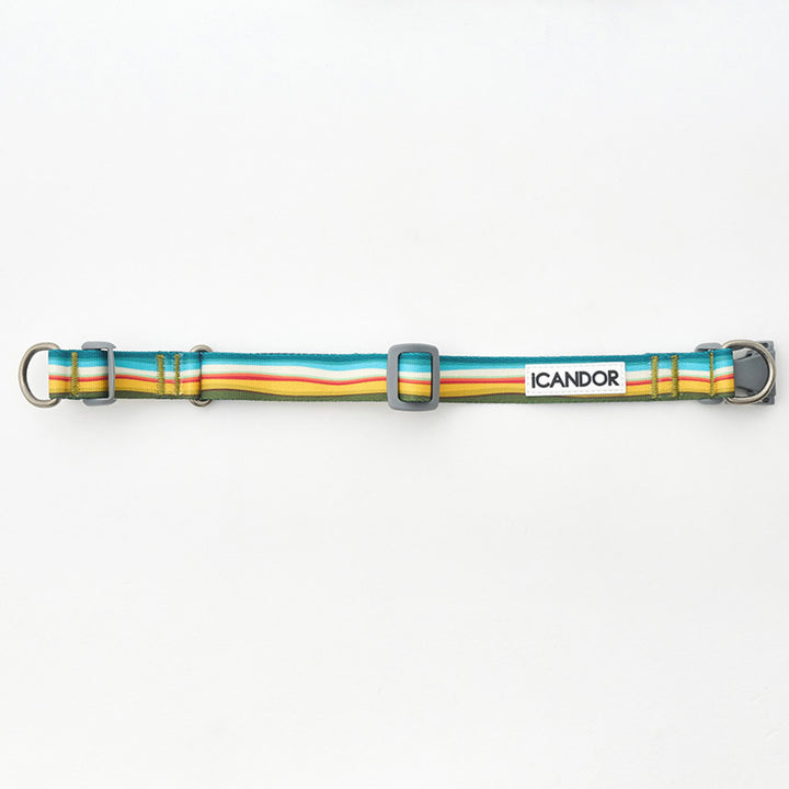 ※予約販売【iCANDOR】Gentle Collar Dual（RIPPLE）L