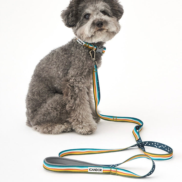 ※予約販売【iCANDOR】Gentle Collar（RIPPLE）XS-15mm