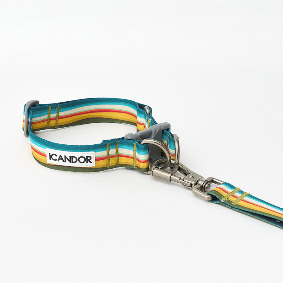 ※予約販売【iCANDOR】Gentle Leash Bolt（RIPPLE）