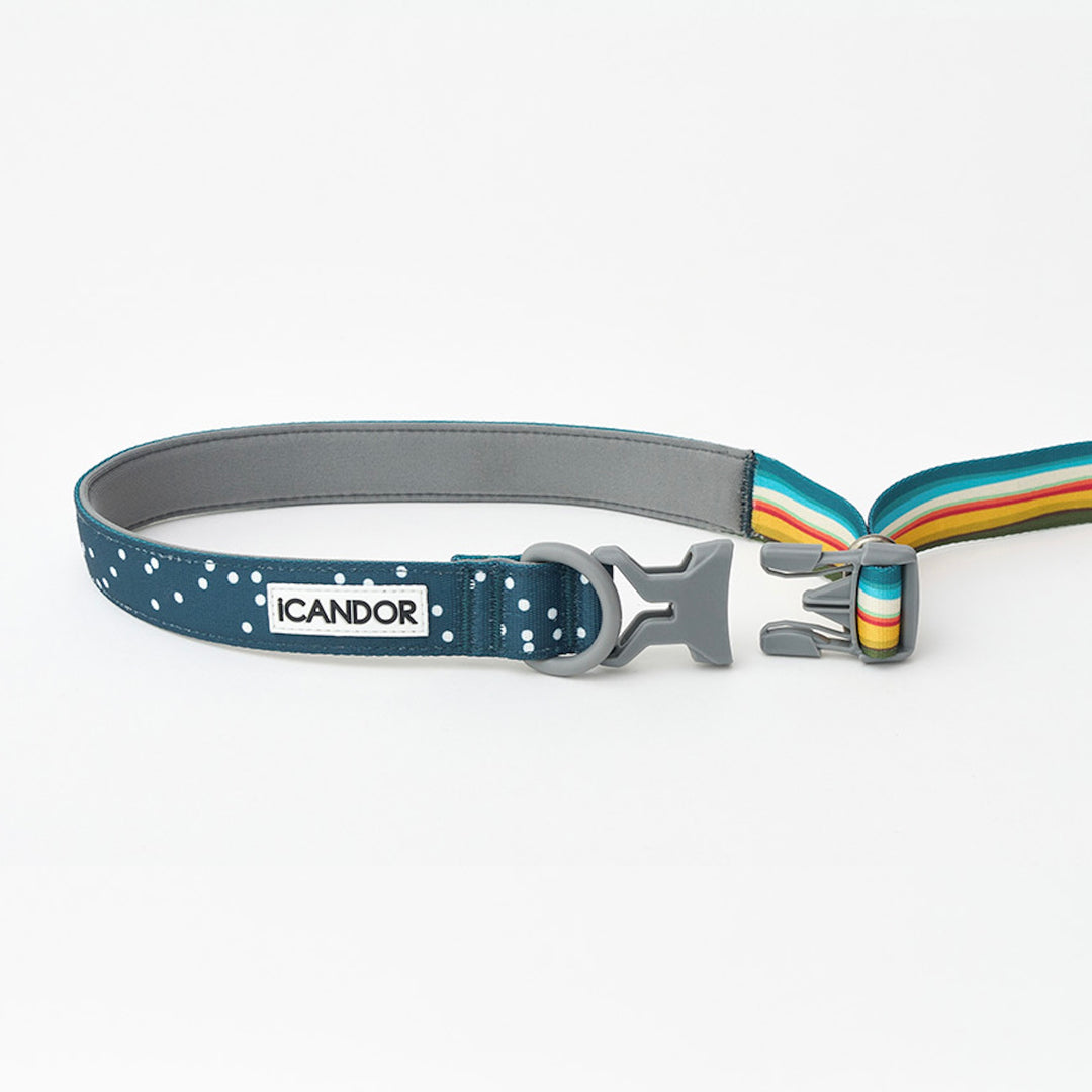 ※予約販売【iCANDOR】Gentle Leash Bolt（RIPPLE）