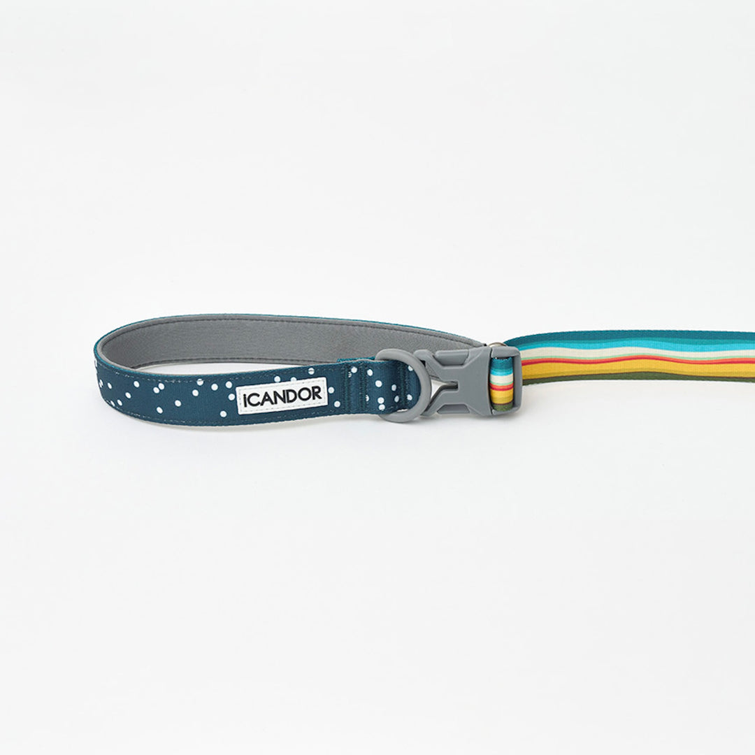 ※予約販売【iCANDOR】Gentle Leash Bolt（RIPPLE）