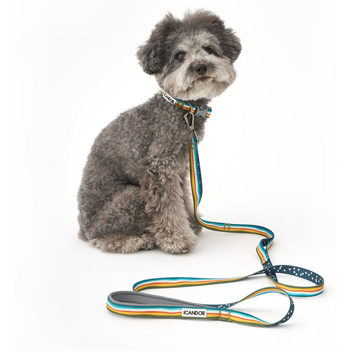※予約販売【iCANDOR】Gentle Leash Bolt（RIPPLE）1.6m-15mm