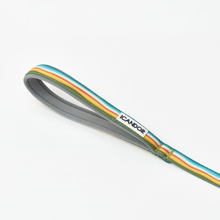 ※予約販売【iCANDOR】Gentle Leash Bolt（RIPPLE）1.6m-15mm