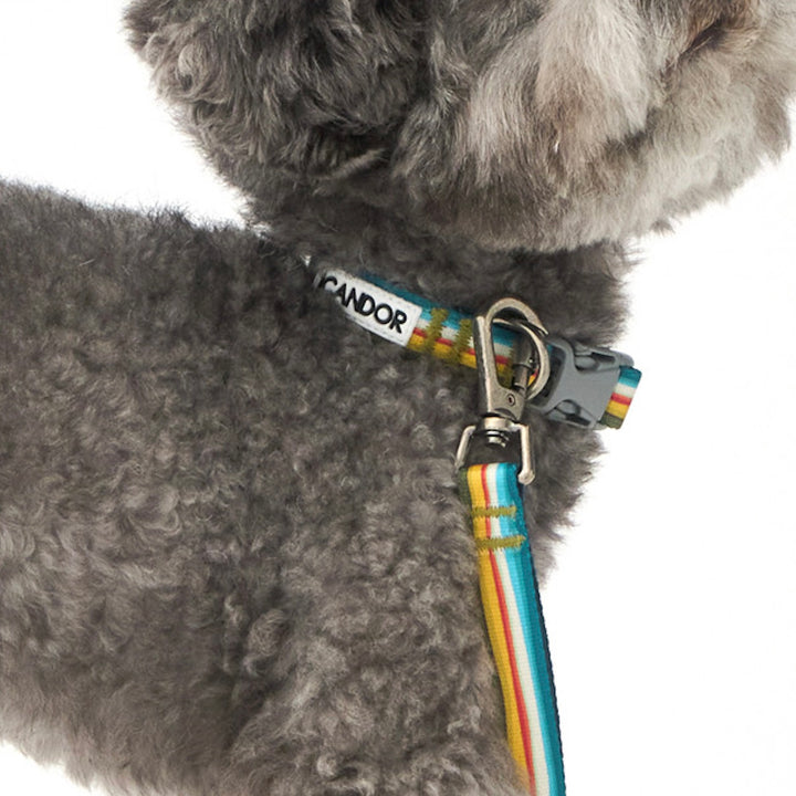 ※予約販売【iCANDOR】Gentle Leash Bolt（RIPPLE）1.6m-15mm