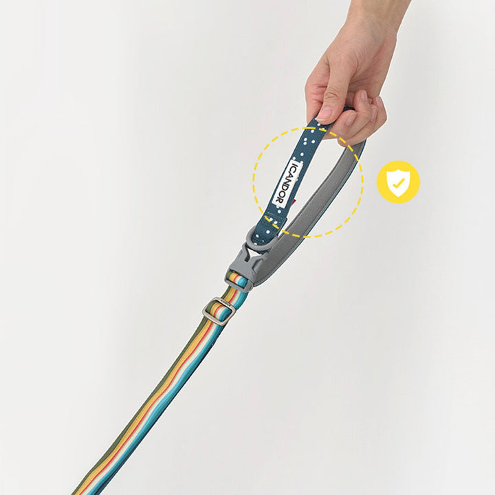 ※予約販売【iCANDOR】Gentle Leash Bolt Long（RIPPLE）