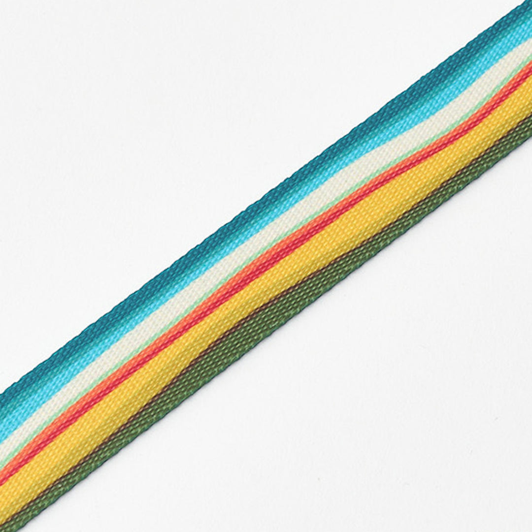 ※予約販売【iCANDOR】Gentle Leash（RIPPLE）