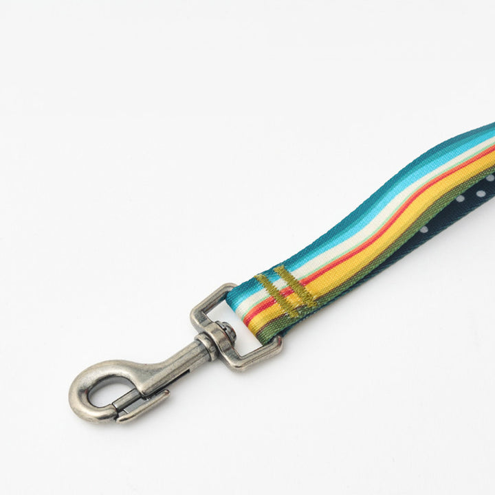 ※予約販売【iCANDOR】Gentle Leash（RIPPLE）